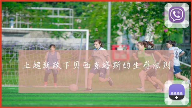 土超新政下贝西克塔斯的生存法则