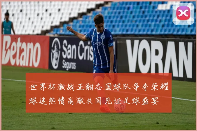 世界杯激战正酣各国球队争夺荣耀球迷热情高涨共同见证足球盛宴
