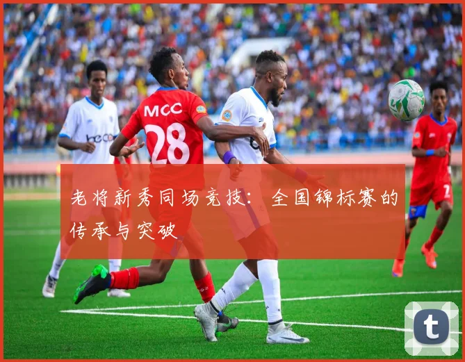 老将新秀同场竞技：全国锦标赛的传承与突破