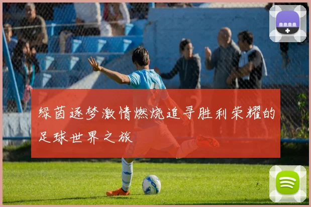 绿茵逐梦激情燃烧追寻胜利荣耀的足球世界之旅