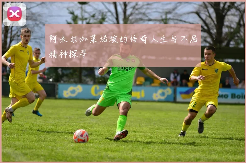 阿米尔加莱诺埃的传奇人生与不屈精神探寻