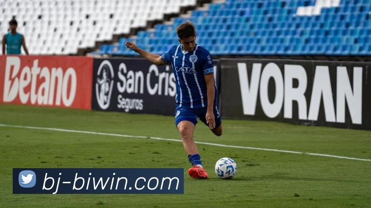 biwin平台生态图